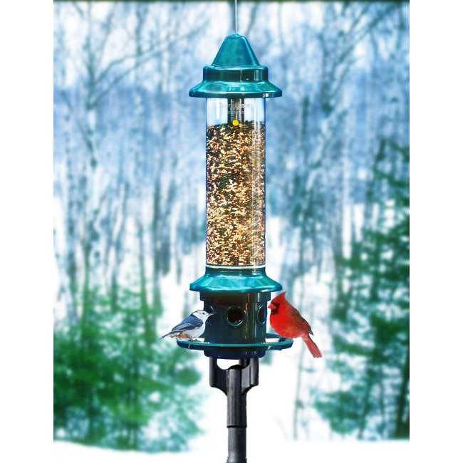 Squirrel Buster Plus Feeder w/Pole Accessory Kit